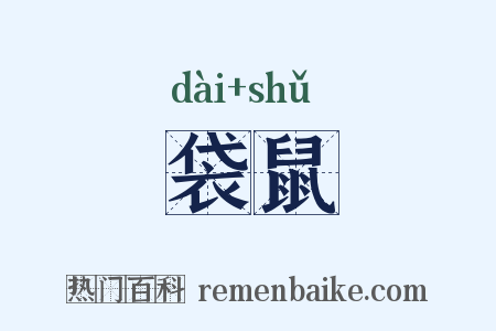 袋鼠是什么意思的图片
